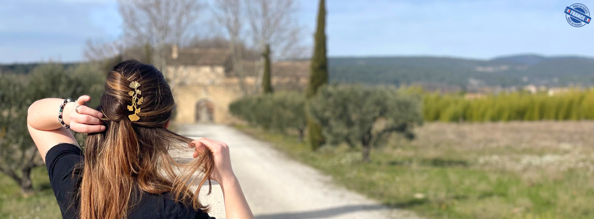 Le chignon français